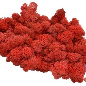 Muwse Islandmoos Mohnrot 100 g Maßstab Spur 1 Modellbau