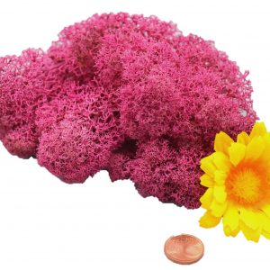 Muwse Islandmoos Veilchen Pink 10 g Maßstab Spur 1 Modellbau