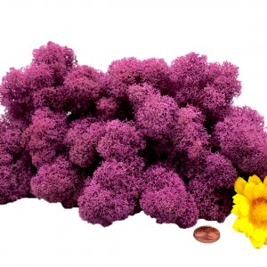 Muwse Islandmoos Viola 50 g Maßstab Spur 1 Modellbau