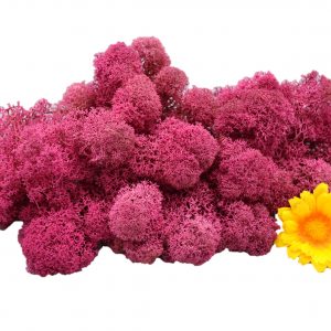 Muwse Islandmoos Veilchen Pink 50 g Maßstab Spur 1 Modellbau
