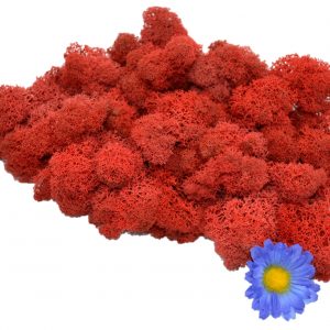 Muwse Islandmoos Mohnrot 50 g Maßstab Spur 1 Modellbau