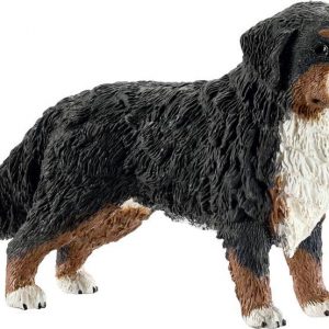 Berner Sennenhündin