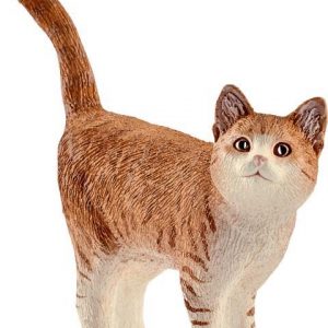 Katze