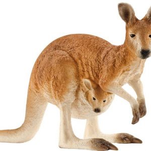 Känguru