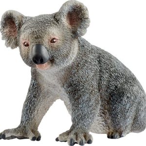 Koalabär