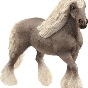 Silver Dapple Stute