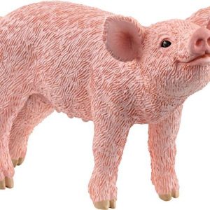Ferkel