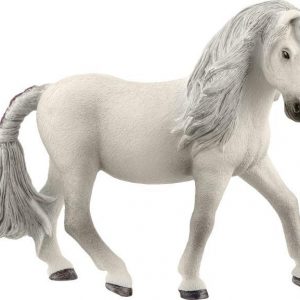 Islandpony Stute