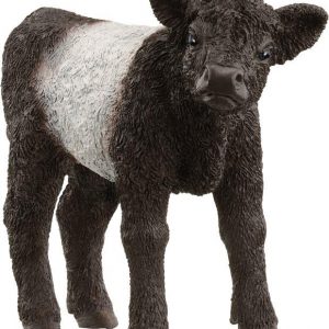 Galloway Kalb