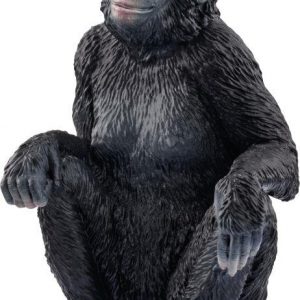 Bonobo Weibchen