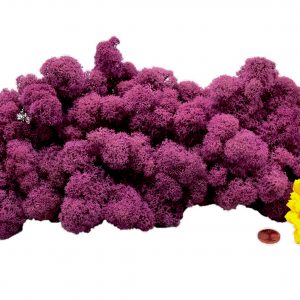 Muwse Islandmoos Viola 100 g Maßstab Spur G Modellbau