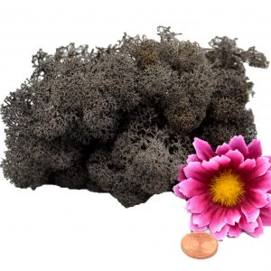 Muwse Islandmoos Dunkelgrau 10 g Maßstab Spur G Modellbau
