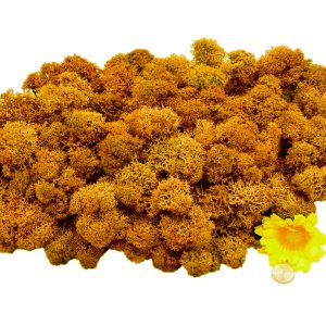 Muwse Islandmoos Melonengelb 100 g Maßstab Spur 0 Modellbau