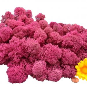 Muwse Islandmoos Veilchen Pink 100 g Maßstab Spur 0 Modellbau