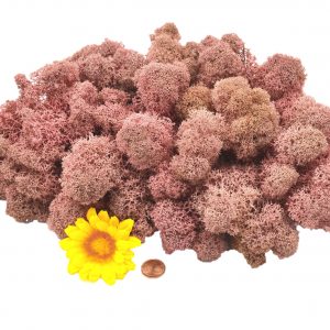 Muwse Islandmoos Rosa 100 g Maßstab Spur 0 Modellbau