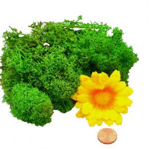 Muwse Islandmoos Grasgrün 10 g Maßstab Spur 0 Modellbau