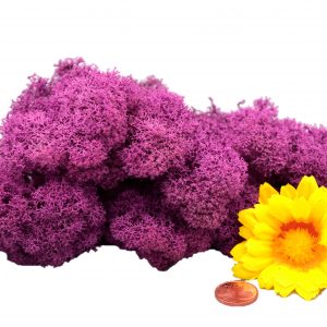 Muwse Islandmoos Viola 25 g Maßstab Spur 0 Modellbau