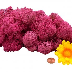Muwse Islandmoos Veilchen Pink 25 g Maßstab Spur 0 Modellbau