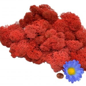 Muwse Islandmoos Mohnrot 25 g Maßstab Spur 0 Modellbau