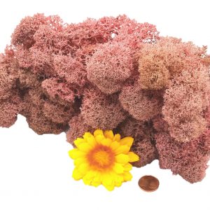 Muwse Islandmoos Rosa 50 g Maßstab Spur 0 Modellbau